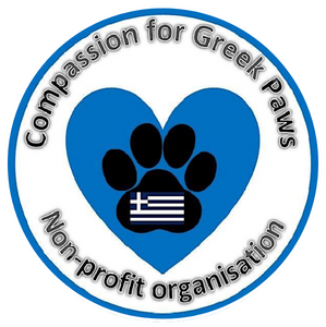 Compassion for Greek Paws