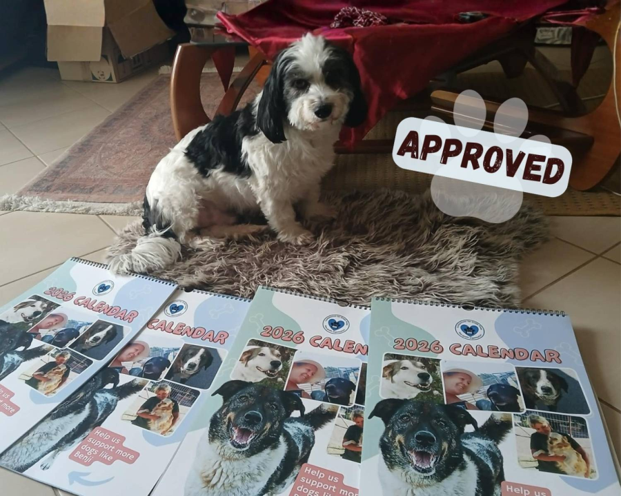 2026 Compassion for Greek Paws Calendars are Now Being Posted