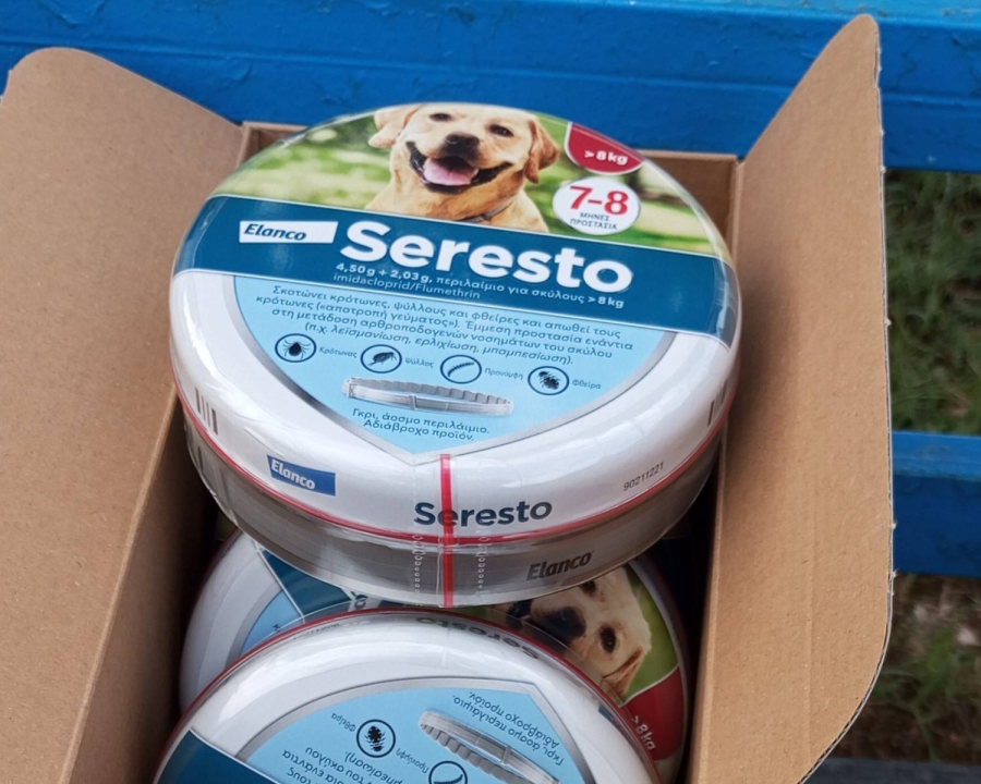 Keeping Our Dogs Protected: Vital Parasite Treatment Completed