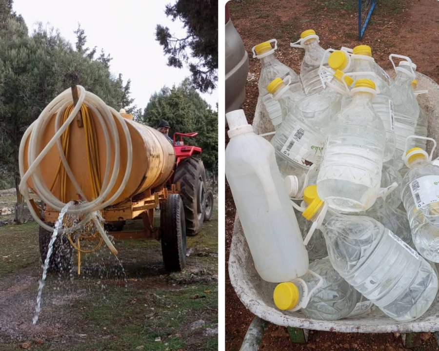 Keeping the Water Flowing for Shelter Dogs