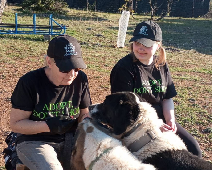 Special Shelter Visit Brings Joy for Dogs and Volunteers