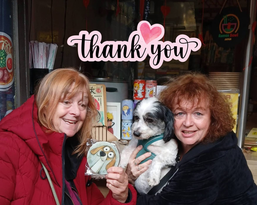 Spring Auction Raises £150 for Shelter Dogs