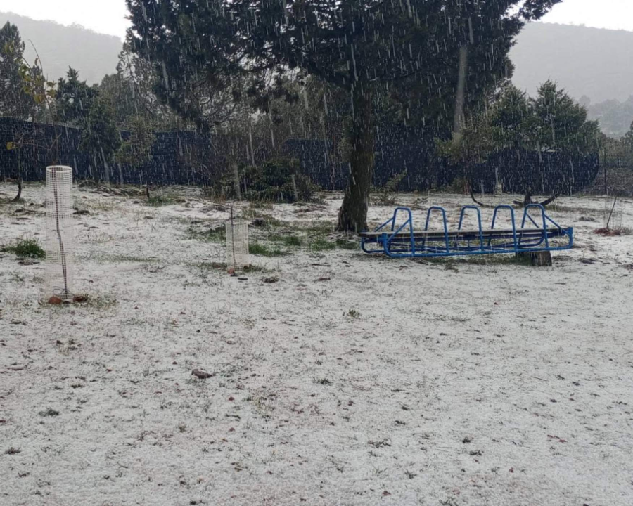 Spring Weather Brings a Surprise Hailstorm