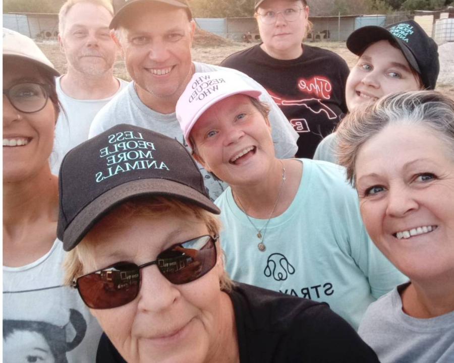 Supporters from Finland Help Rescue Dogs Across Greece