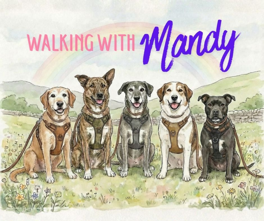 Walking with Mandy Fundraiser Update
