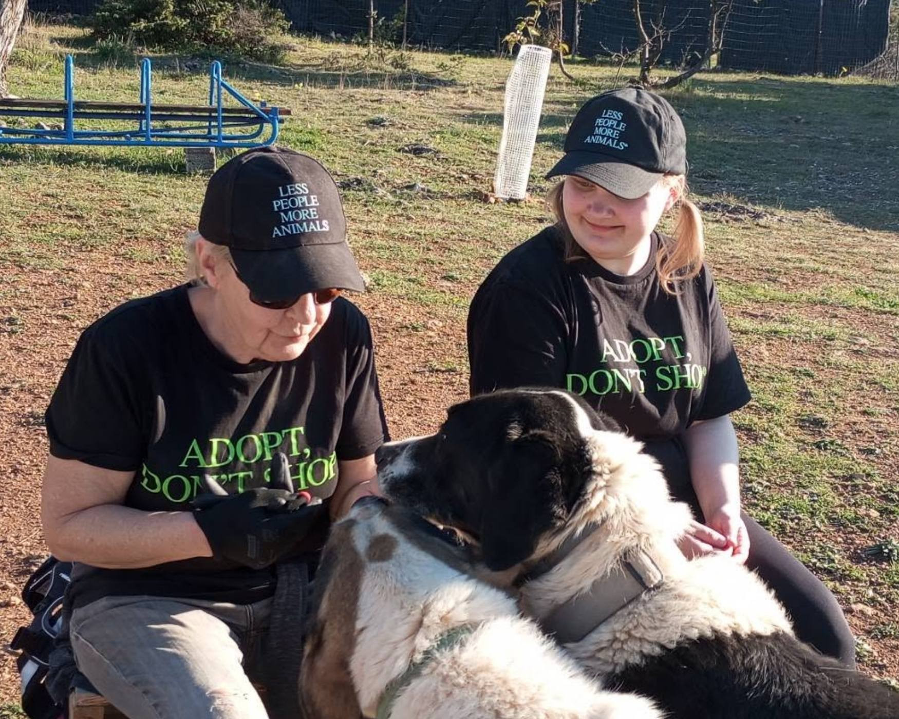 spring shelter visitors